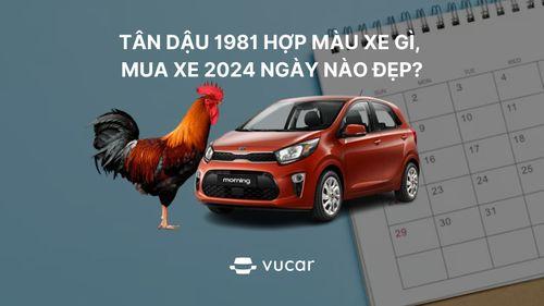 Mau sac ky nguoi sinh nam 1981 Tan Dau menh Moc nen tranh xa